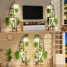 Načítať obrázok do zobrazovača galérie, Rastliny v tvare polmesiaca s LED osvetlením – 7 úrovní