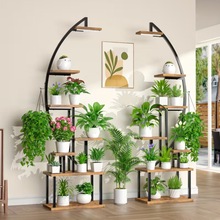 Načítať obrázok do zobrazovača galérie, Prémiová polmesiaca polica s LED osvetlením pre rastliny